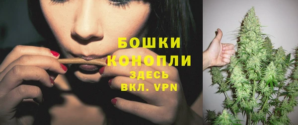 PSILOCYBIN Каменногорск