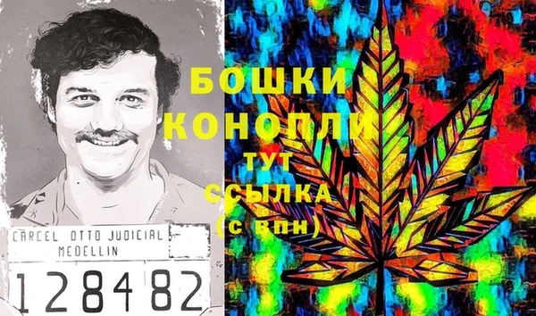 PSILOCYBIN Каменногорск