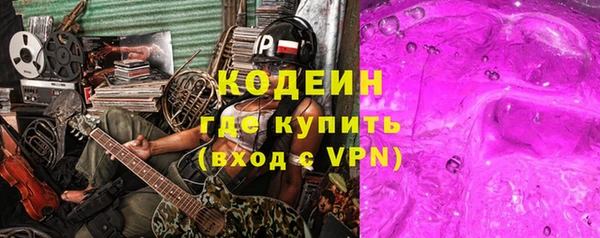 спиды Каменка