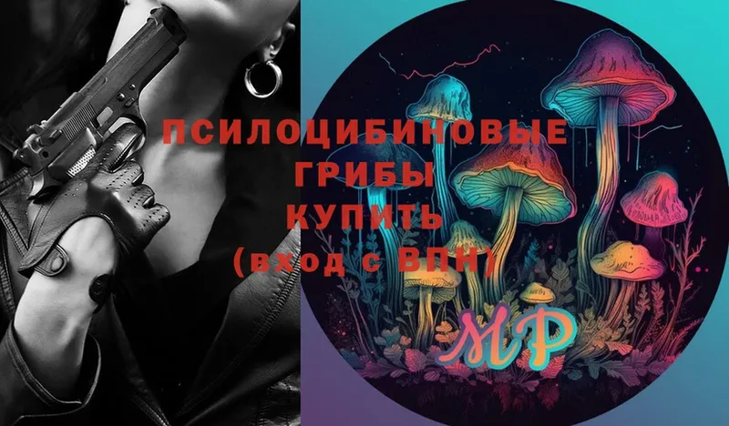 Галлюциногенные грибы Magic Shrooms  Пермь 