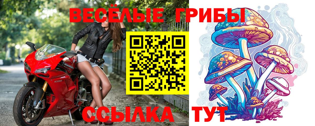 Псилоцибиновые грибы GOLDEN TEACHER  Псилоцибиновые грибы Psilocybe  Вход с VPN  Пермь 
